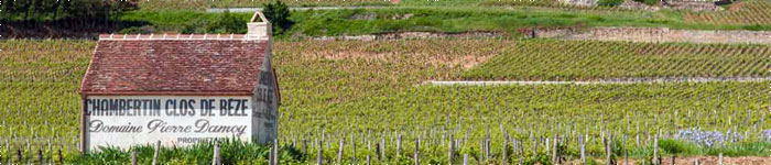 Building within Chambertin vineyard